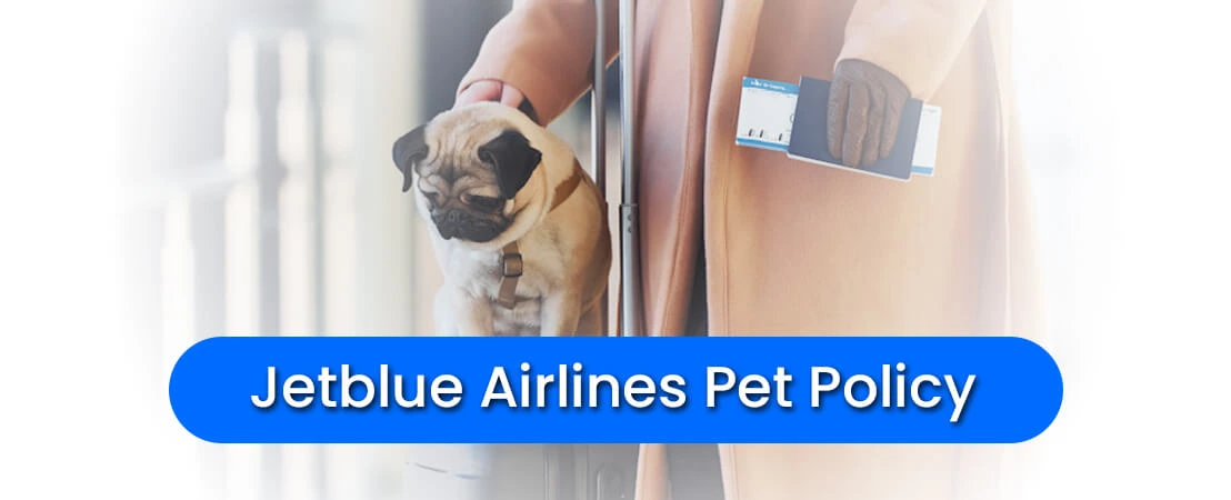 What is Jetblue Airlines Pet Policy?